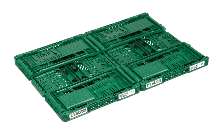 Green folding tray - 154 - Euro Pool System